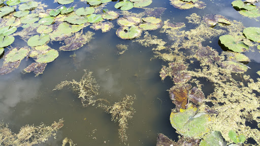 Park «Wehr Nature Center», reviews and photos, 9701 W College Ave, Franklin, WI 53132, USA