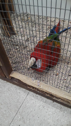 Pet Store «Fin-N-Feather», reviews and photos, 2931 F St, Eureka, CA 95501, USA