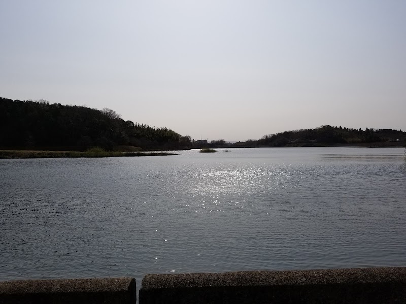 日野川ダム 滋賀県日野町村井 堰 グルコミ