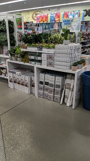 Variety Store «Five Below», reviews and photos, 23678 US Hwy 19 N, Clearwater, FL 33765, USA