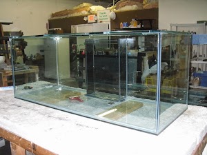 Contemporary Aquarium & Design - photo 24