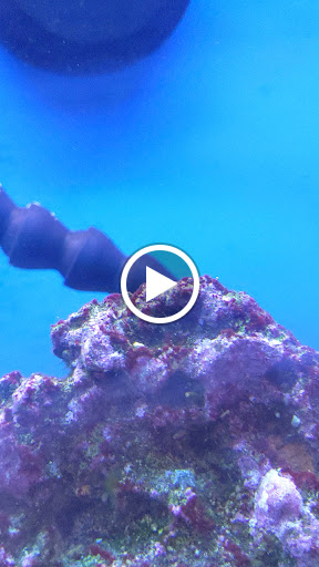 Pet Supply Store «Petco Animal Supplies», reviews and photos, 300 Hylan Dr, Rochester, NY 14623, USA