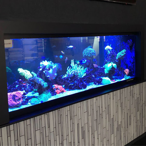 Aquarium «The Reef Shoppe», reviews and photos, 1969 East Ridge Road, Rochester, NY 14622, USA