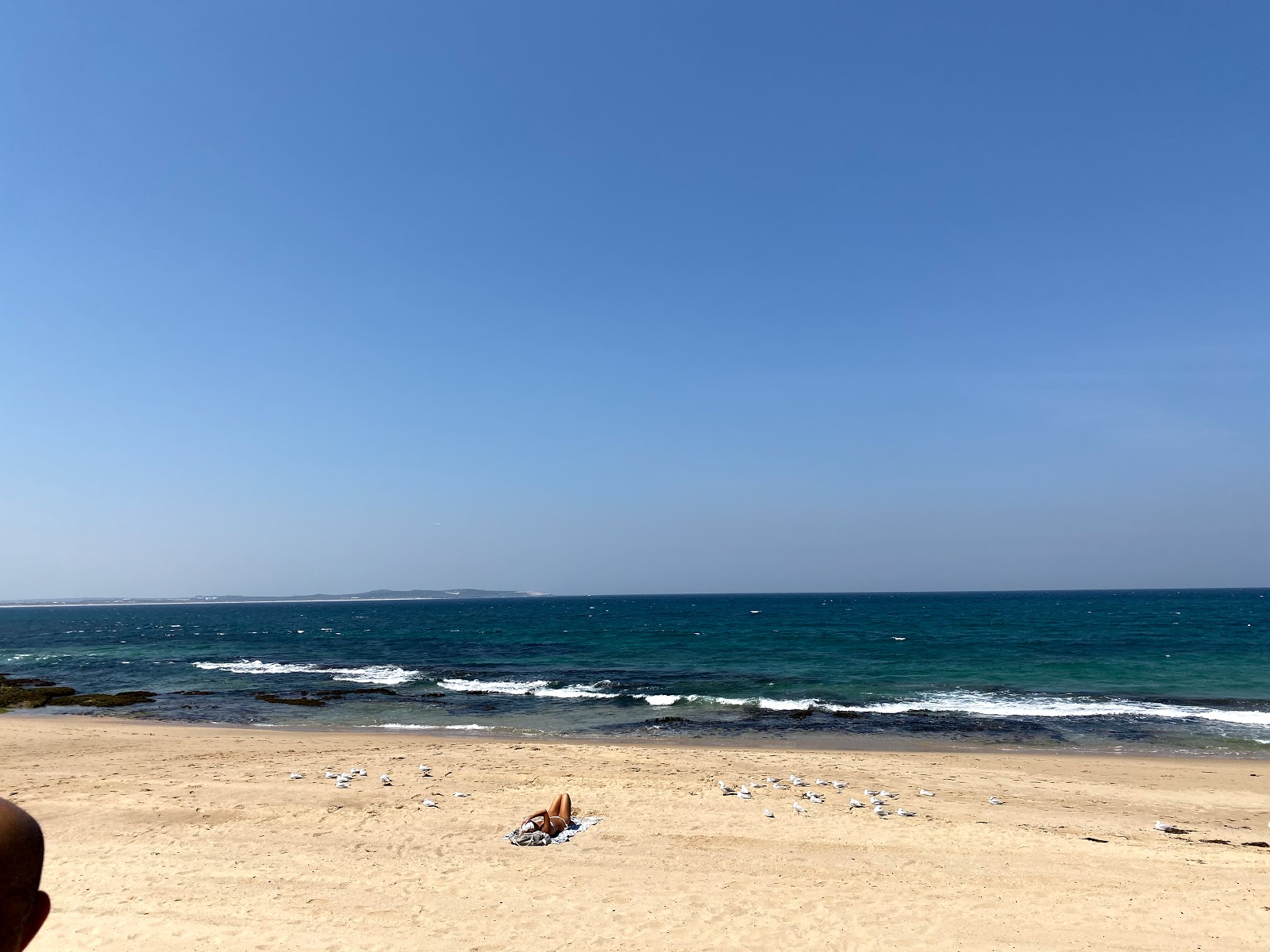 Foto de Shelly Beach - lugar popular entre os apreciadores de relaxamento