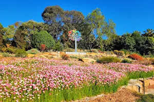 Australian Botanic Garden Mount Annan image