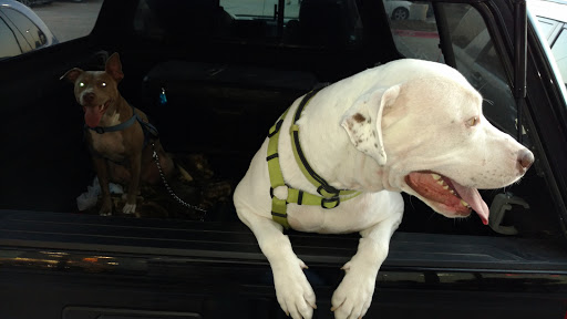 Tobacco Shop «Cigar Lounge», reviews and photos, 6840 Virginia Pkwy #110, McKinney, TX 75071, USA