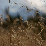 Photo n°11 de l'avis de OI.i fait le 16/09/2021 à 14:44 sur le  Hofschank Wiedenhof à Cornedo all`Isarco