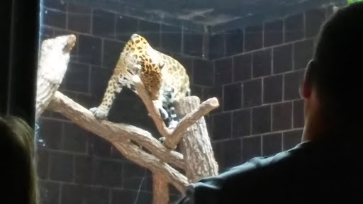 Zoo «Wild Kingdom Pavilion», reviews and photos, 3701 S 10th St, Omaha, NE 68108, USA