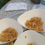 Photo n°1 de l'avis de Giorgio.i fait le 12/08/2021 à 11:18 sur le  Ristorante Il Calamaro à Caorle