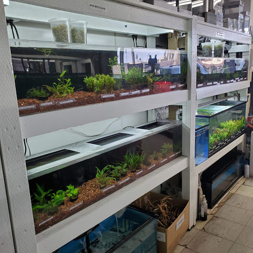 Pet Store «Pet Town», reviews and photos, 7804 Florence Ave, Downey, CA 90240, USA