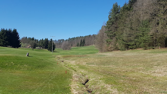 Kommentare und Rezensionen über Golf- und Land-Club Oberpfälzer Wald e.V.