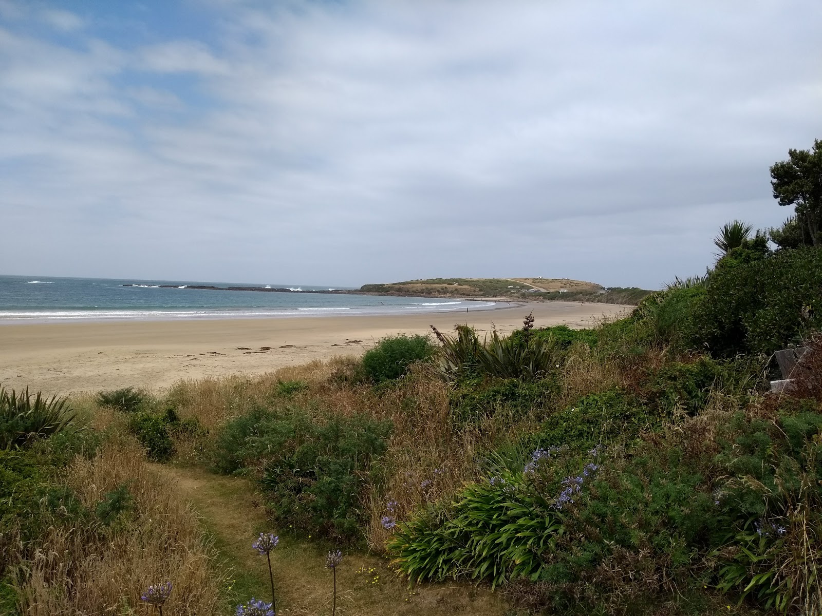 Photo de Curio Bay et le règlement