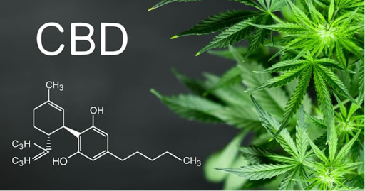 Hookah Bar «Prince Hookah Lounge», reviews and photos, 116 Old Morgantown Rd, Bowling Green, KY 42101, USA