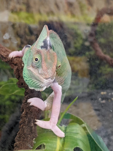 Petco Animal Supplies, 1930 SW Wanamaker Rd, Topeka, KS 66604, USA, 