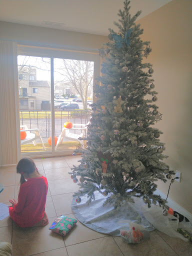 Fabric Store «Jo-Ann Fabrics and Crafts», reviews and photos, 8000 Plaza Blvd, Mentor, OH 44060, USA