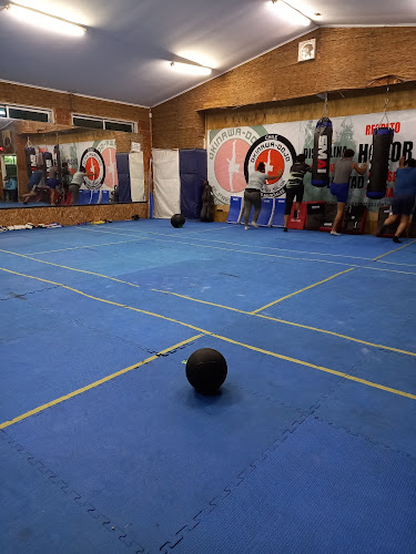 Opiniones de Dojo Okinawa en Temuco - Gimnasio