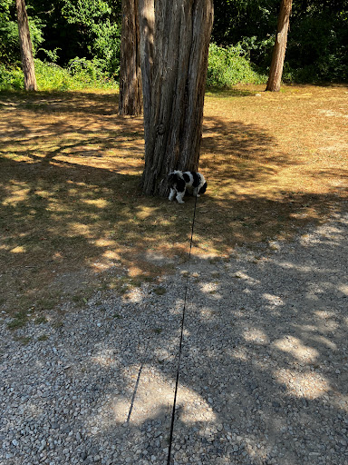 State Park «Lincoln Woods State Park», reviews and photos, 2 Manchester Print Works Rd, Lincoln, RI 02865, USA