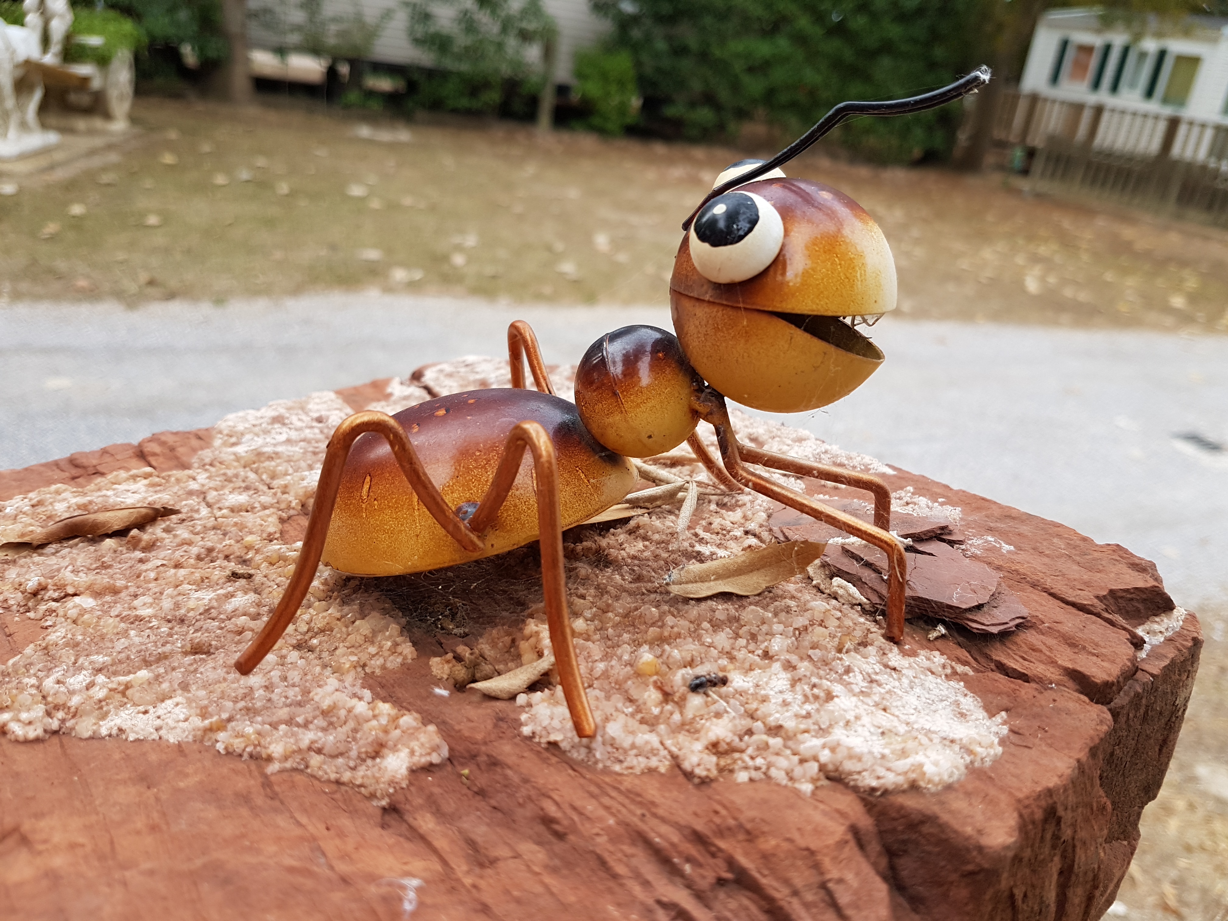 Photo n° 3 de l'avis de H. fait le 24/09/2019 à 18:54