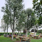 Photo n°1 de l'avis de Barbara.o fait le 15/07/2021 à 19:25 sur le  Seiterre Risotteria à Valeggio sul Mincio