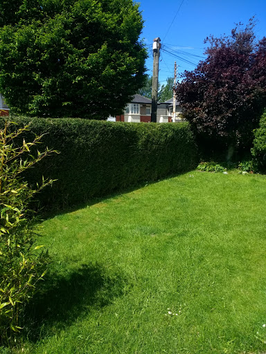 Grasshopper Services North / South Dublin | Tree Surgery, Garden & Landscape Maintenance, Office Plants