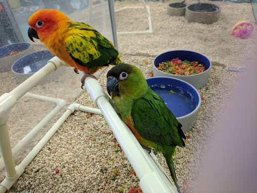 Dog Breeder «Petland Dunwoody», reviews and photos, 4733 Ashford Dunwoody Rd NE, Dunwoody, GA 30338, USA