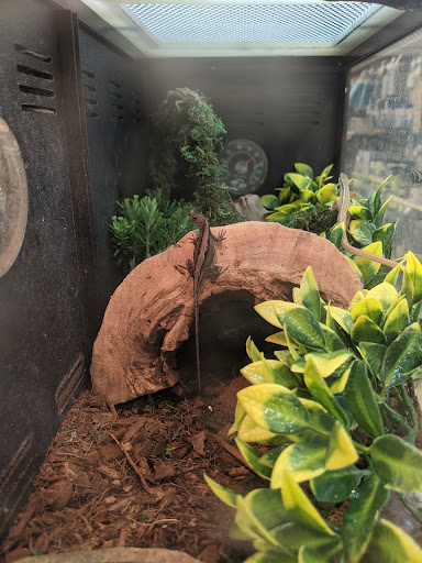 Pet Supply Store «PetSmart», reviews and photos, 2477 Naglee Rd, Tracy, CA 95304, USA