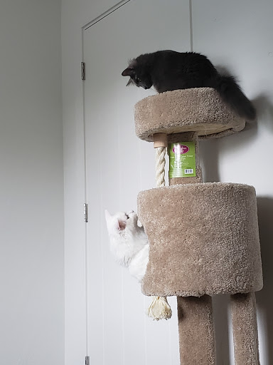 Pet Supply Store «PetSmart», reviews and photos, 7654 Campus View Dr, West Jordan, UT 84084, USA