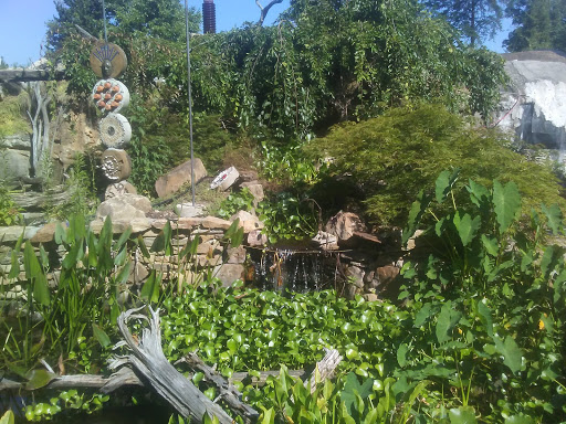 Pet Store «Ponds & Plants», reviews and photos