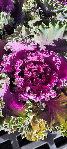 Hardware Store «McLendon Hardware», reviews and photos, 1111 Fryar Ave, Sumner, WA 98390, USA