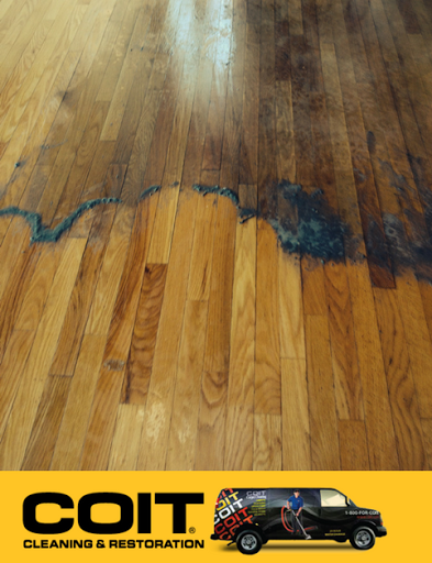 Cleaning Service «COIT Cleaning and Restoration of Sacramento», reviews and photos, 3499 Business Dr, Sacramento, CA 95820, USA