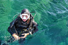 Aquablue Plongée Banyuls-sur-Mer