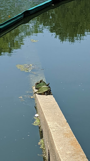 Park «Robert E Lee Park», reviews and photos, 3333 Turtle Creek Blvd, Dallas, TX 75219, USA