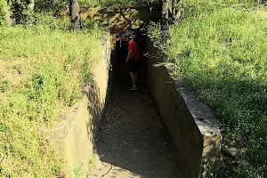 Etruscan necropolis of Prato Rosello image