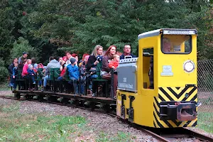 Gödöllő Forest Railway image