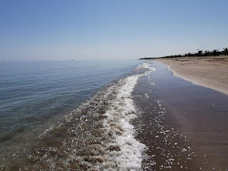 Qidfa Beach的照片 便利设施区域