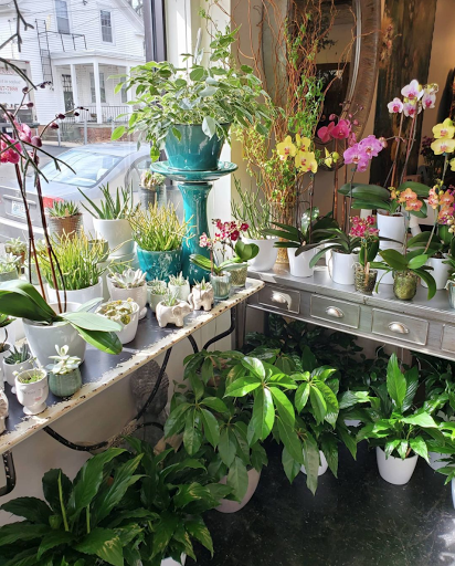 Florist «Providence Florist - Blooming Blossoms», reviews and photos, 780 Hope St, Providence, RI 02906, USA