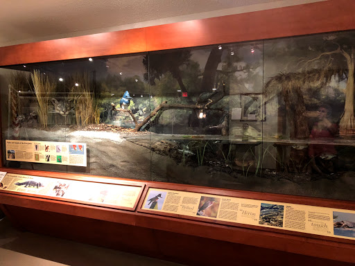 Heritage Museum «Plantation Historical Museum», reviews and photos, 511 N Fig Tree Ln, Plantation, FL 33317, USA