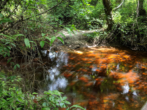 Lake Rim Park