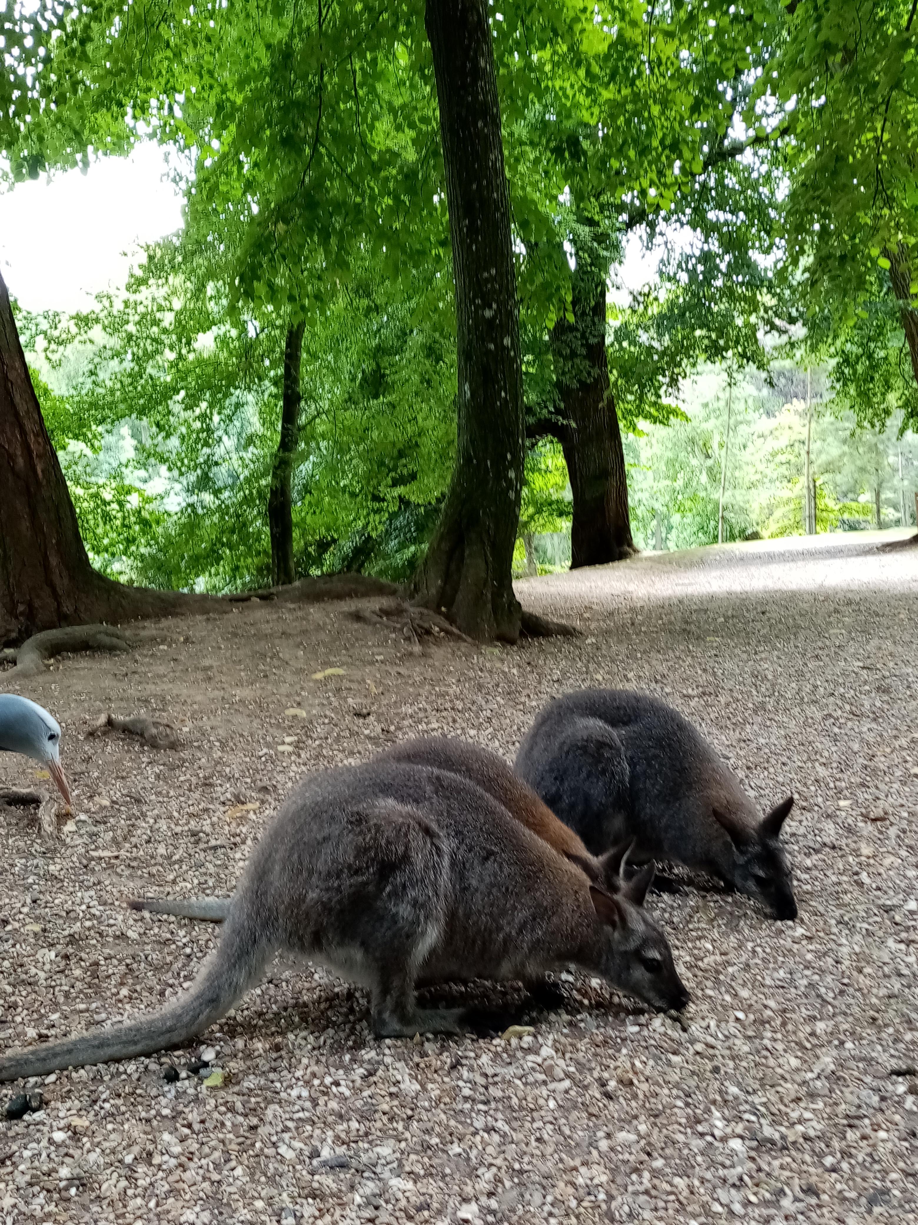 Photo n° 25 de l'avis de Marielaure.a fait le 25/07/2023 à 19:08