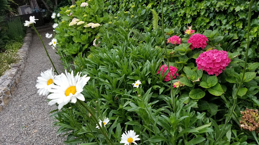 General Store «Carmel Highlands General Store», reviews and photos, 70 CA-1, Carmel-By-The-Sea, CA 93923, USA