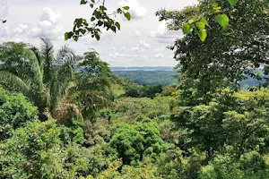 Reserva Forestal Hogar Gatún image