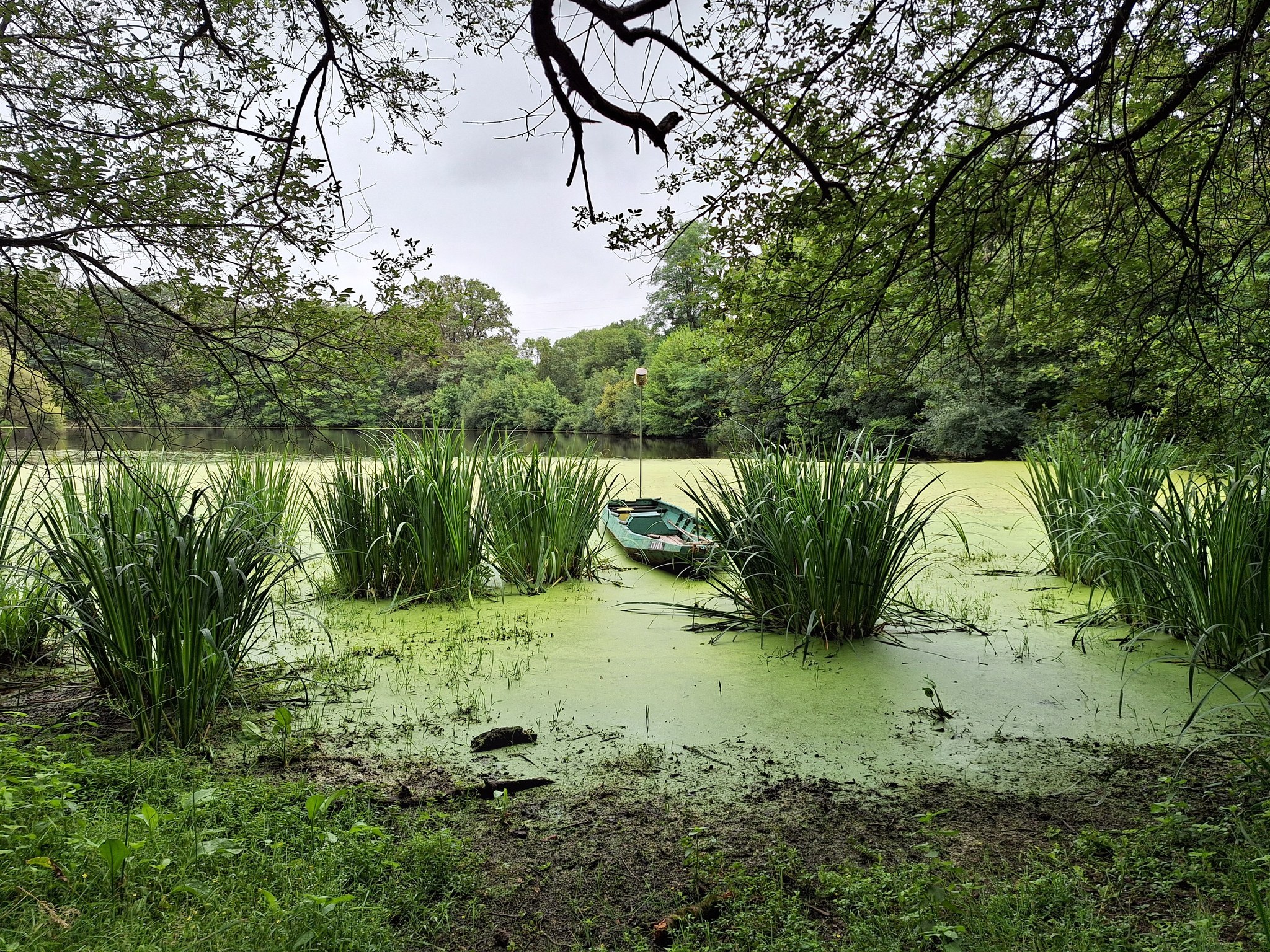 Photo n° 1 de l'avis de Yvan. fait le 18/07/2023 à 15:03