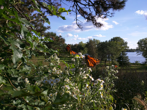 Community Center «Lake Nokomis Community Center», reviews and photos, 2401 E Minnehaha Pkwy, Minneapolis, MN 55417, USA