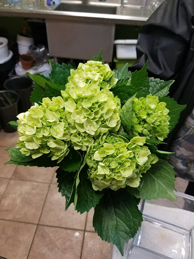 Florist «Queen Anne Flowers Inc», reviews and photos, 729 W Jericho Turnpike, Huntington, NY 11743, USA