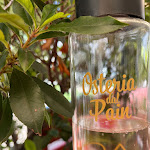 Photo n°2 de l'avis de Carlo.o fait le 24/06/2023 à 13:46 sur le  Ristorante Osteria dal Pain à Como