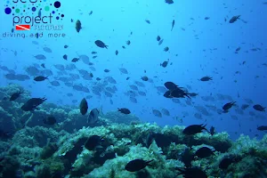 Sea Project Castelsardo diving asd image