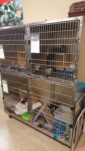 Pet Supply Store «PetSmart», reviews and photos, 1521 Golden Gate Plaza, Mayfield Heights, OH 44124, USA