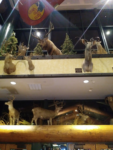 Shopping Mall «Cincinnati Mall», reviews and photos, 600 Cincinnati Mills Dr, Cincinnati, OH 45240, USA