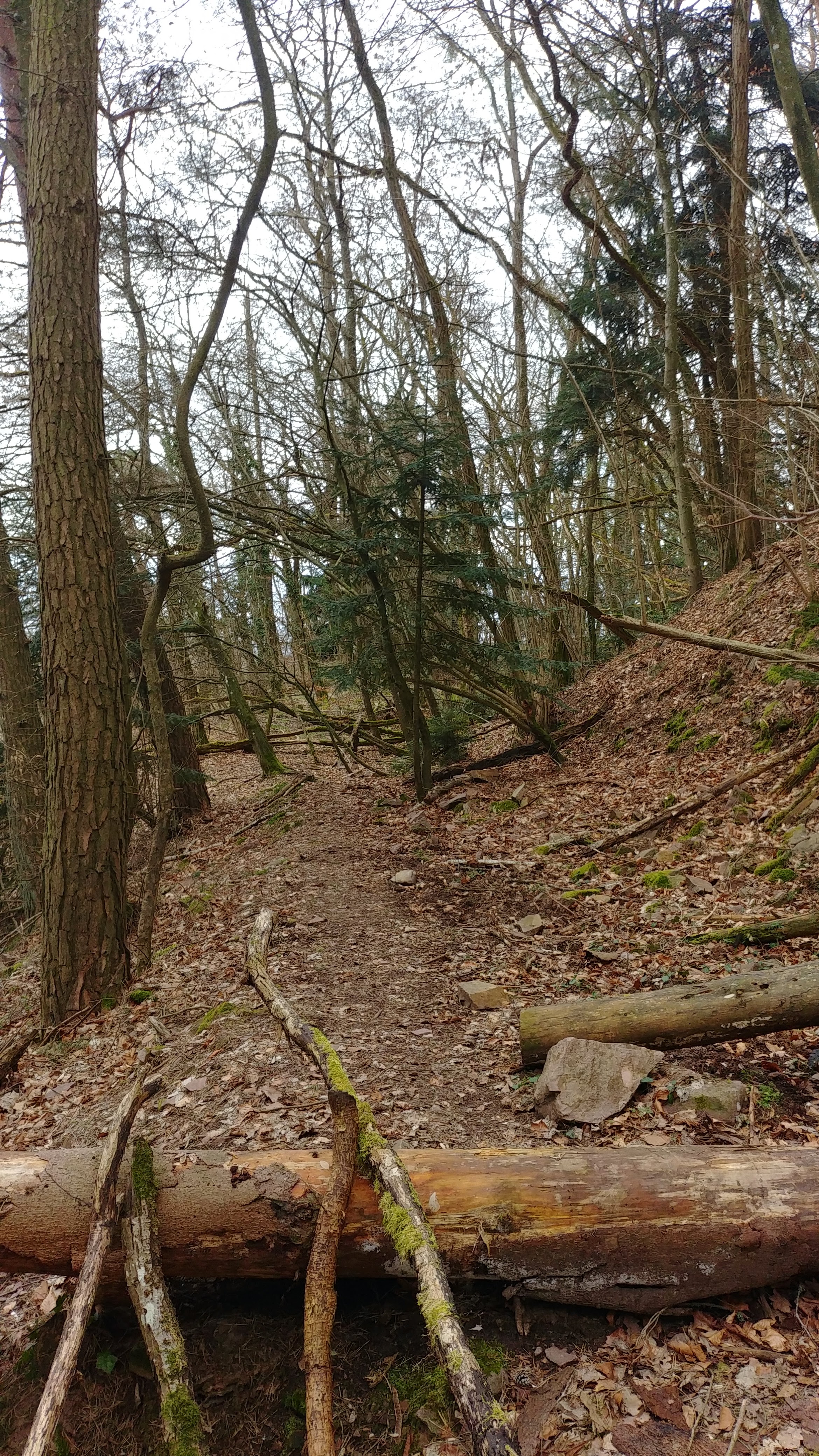 Photo n° 2 de l'avis de Laugal.a fait le 16/04/2023 à 15:40
