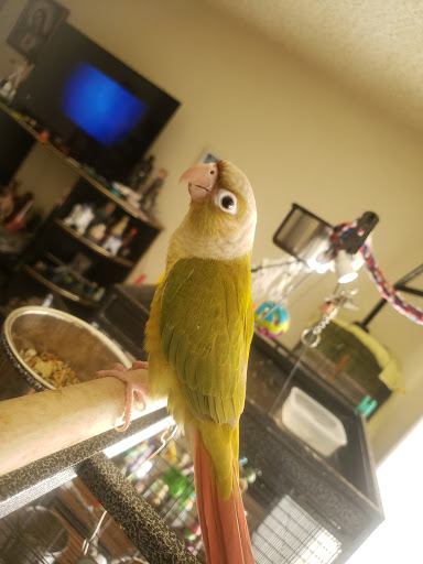 Pet Supply Store «Petco Animal Supplies», reviews and photos, 8800 Tampa Ave, Northridge, CA 91324, USA